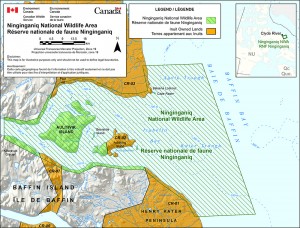 Letter Size - Ninginganiq NWA in Nunavut